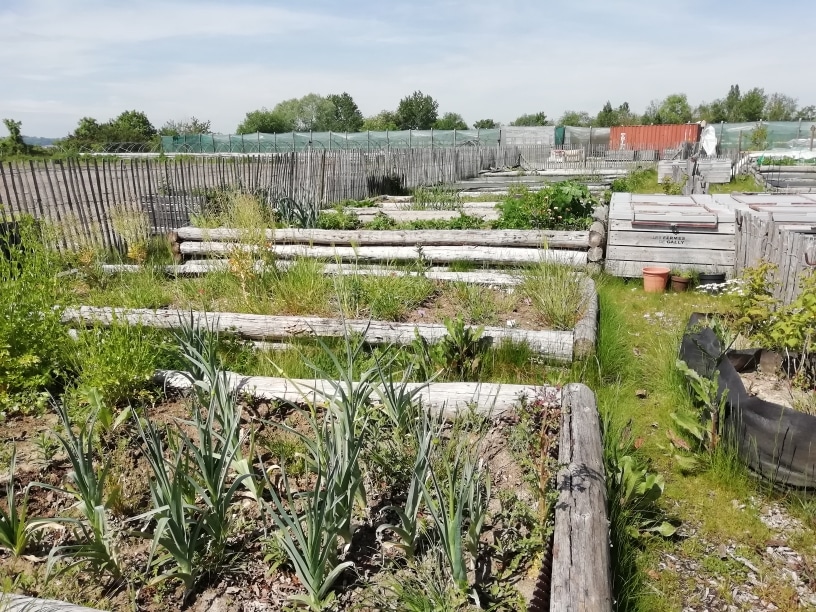 le jardin après deux mois de confinement