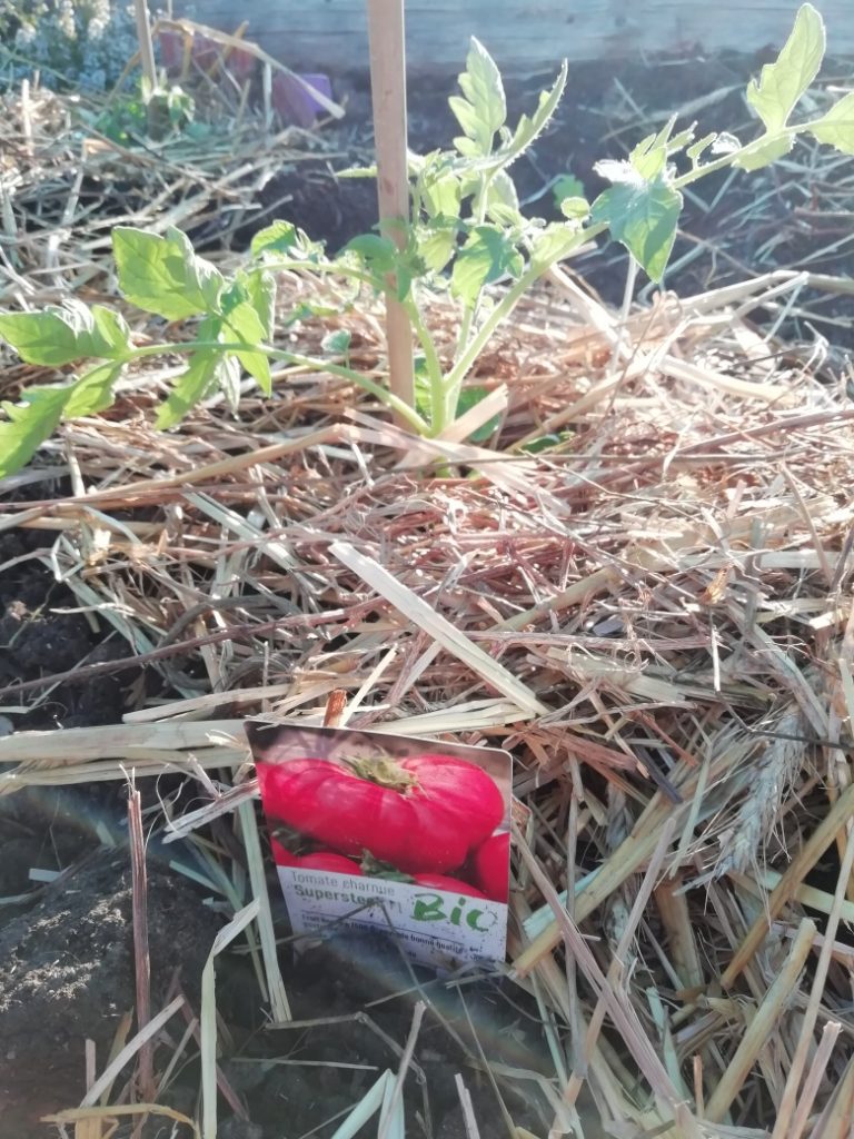 Nos plantations